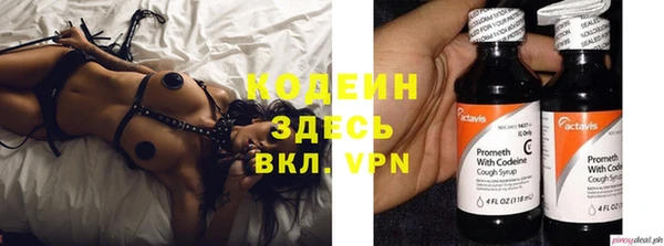 стаф Балахна