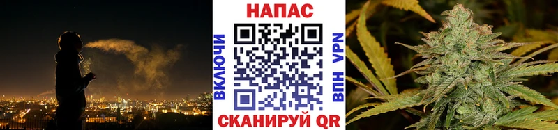 Конопля White Widow  Купить  Кувандык 